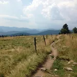 Un Sejour Ressourcant En Alsace Entre Vignes Et Montagnes L'escapade Barochaise A 20mn De Colmar *