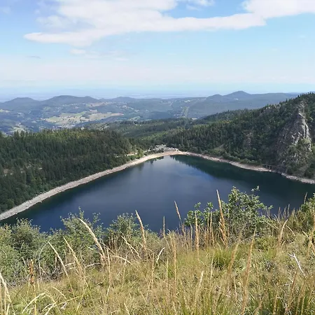 Un Ressourçant En Alsace Entre Vignes Et Montagnes L'escapade Barochaise à 20mn De Colmar Apartamento Labaroche
