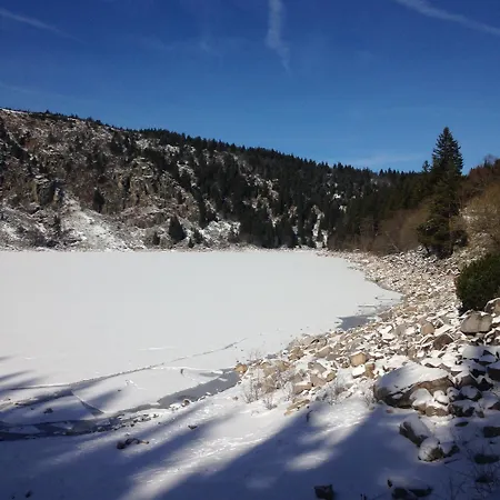 Un Sejour Ressourcant En Alsace Entre Vignes Et Montagnes L'escapade Barochaise A 20mn De Colmar Apartment