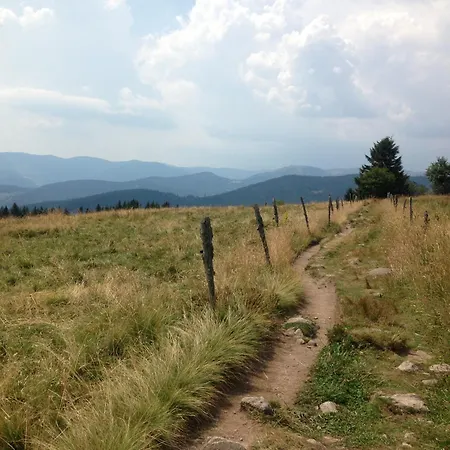 Un Ressourçant En Alsace Entre Vignes Et Montagnes L'escapade Barochaise à 20mn De Colmar *