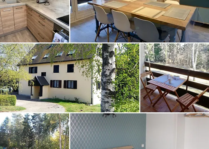 Apartment Un Sejour Ressourcant En Alsace Entre Vignes Et Montagnes L'escapade Barochaise A 20mn De Colmar Labaroche