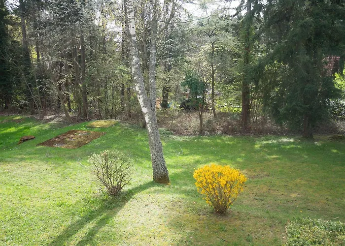 Un Sejour Ressourcant En Alsace Entre Vignes Et Montagnes L'escapade Barochaise A 20mn De Colmar * 라바로슈