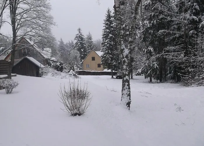Un Sejour Ressourcant En Alsace Entre Vignes Et Montagnes L'escapade Barochaise A 20mn De Colmar
