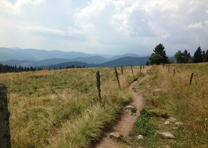 Un Sejour Ressourcant En Alsace Entre Vignes Et Montagnes L'escapade Barochaise A 20mn De Colmar *